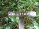PICTURES/Ho Rainforest - Hall of Mosses/t_Hall of Mosses Sign.JPG